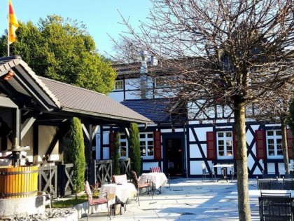 Foto: Rebstock Waldulm